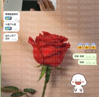 哇～早上一打開TG，整個被嚇到！  訊息爆滿，人才哥哥行動力太快了🔥