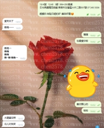 🤣🤣 高雄小海豚真的太厲害了！